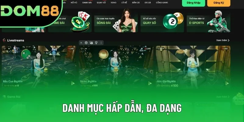 Danh mục hấp dẫn, đa dạng