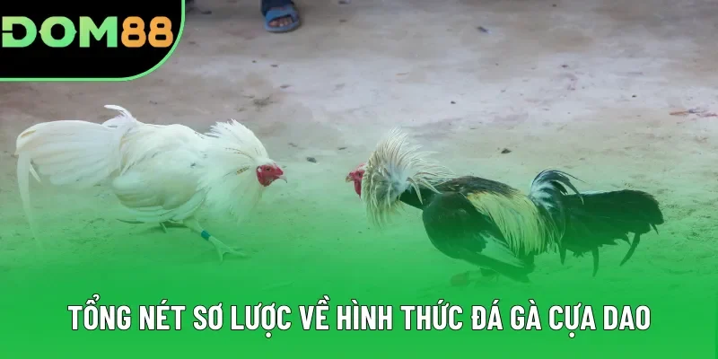Tổng nét sơ lược về hình thức đá gà cựa dao