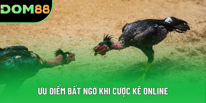 Ưu điểm bất ngờ khi cược kê online